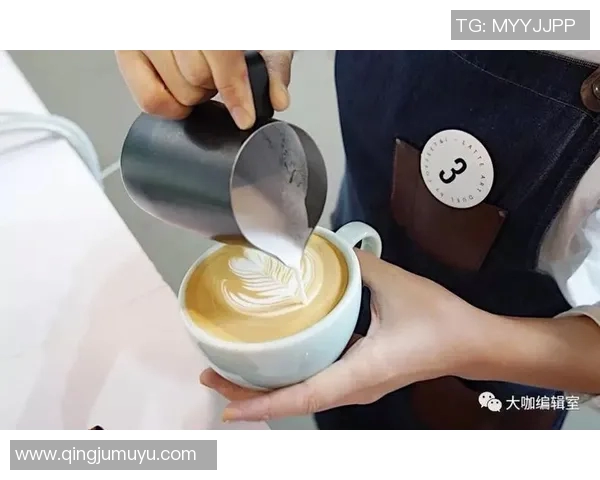 布鲁日与威尔郡的精彩对决赛果揭晓，比赛亮点回顾与分析